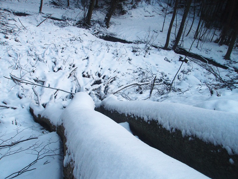 233_(2011-01-28)_10.jpg
