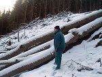 thn_233_(2011-01-28)_03.jpg