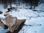 thn_233_(2011-01-28)_08.jpg