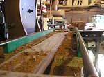 thn_281_(2011-05-24)_09.jpg
