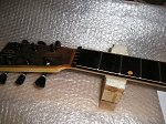 thn_318_(2011-08-23)_11.jpg