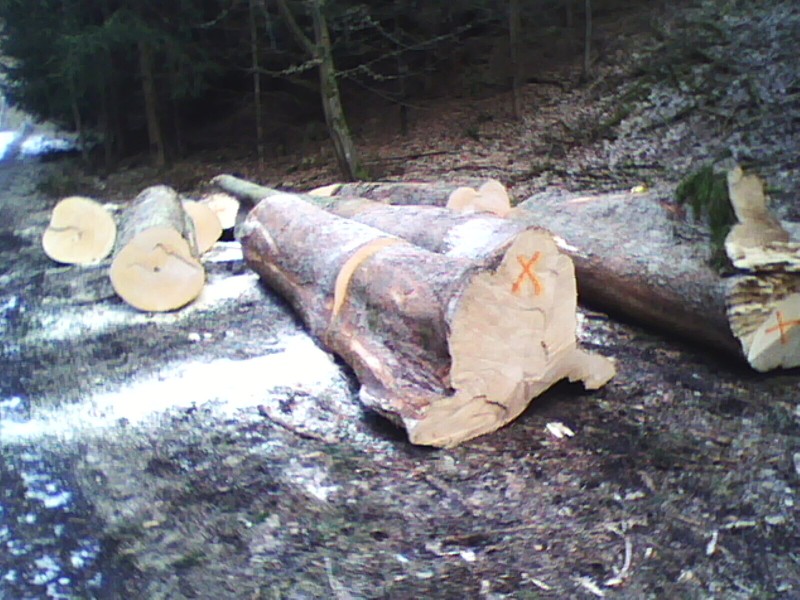 360_(2011-03-xx)_01.jpg