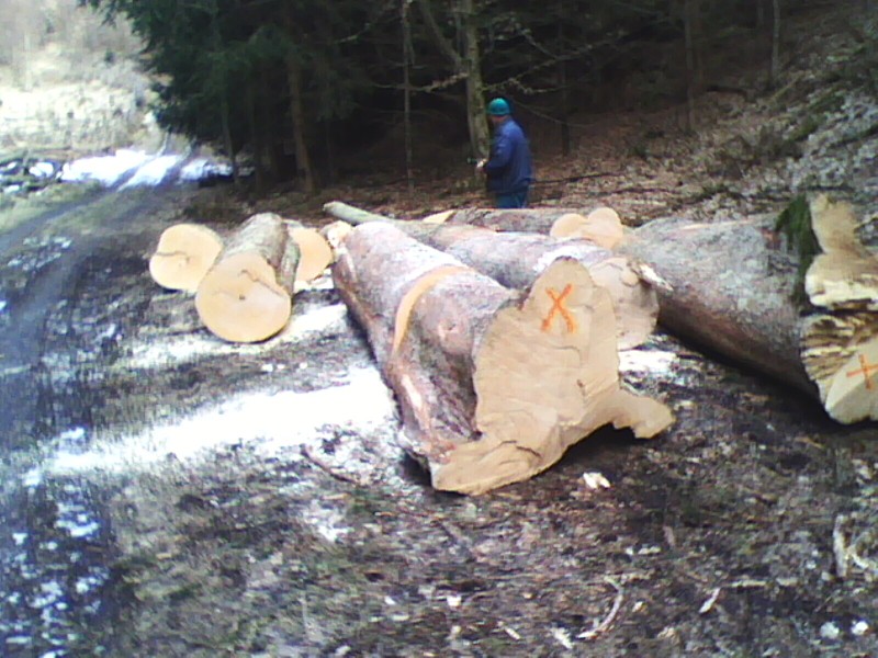 360_(2011-03-xx)_02.jpg
