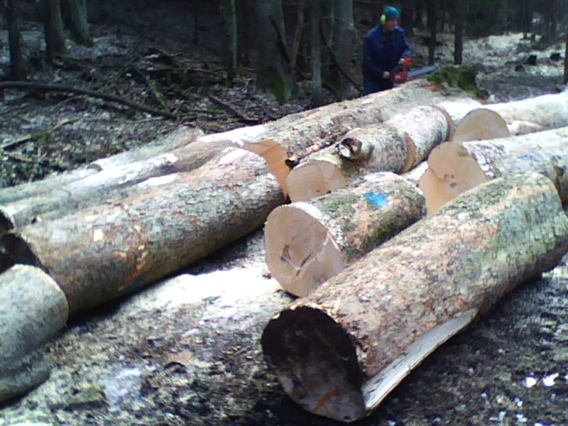 360_(2011-03-xx)_04.jpg